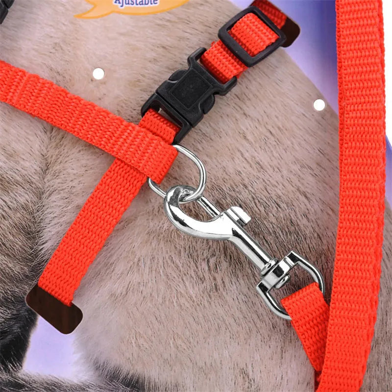 Adjustable Cat Collar Harness Leash Set Nylon Kitten Friendly