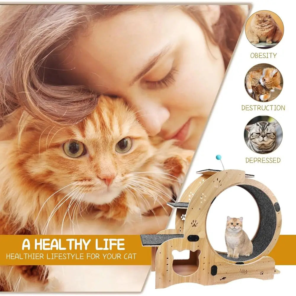 6-in-1 Indoor Cat Wheel For Exercise Scratch Climb Play Rest