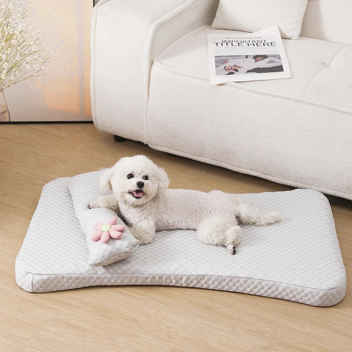 Summer Cooling Ice Silk Dog Bed With Detachable Mattress