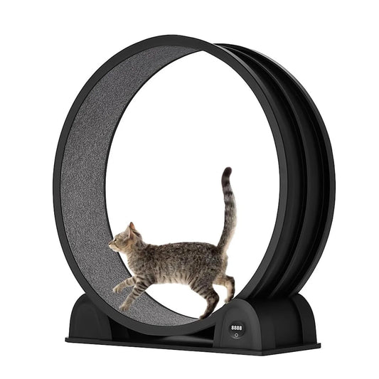 HiMISS Cat Exercise Wheel Treadmill With Smart Pedometer Quiet Operation