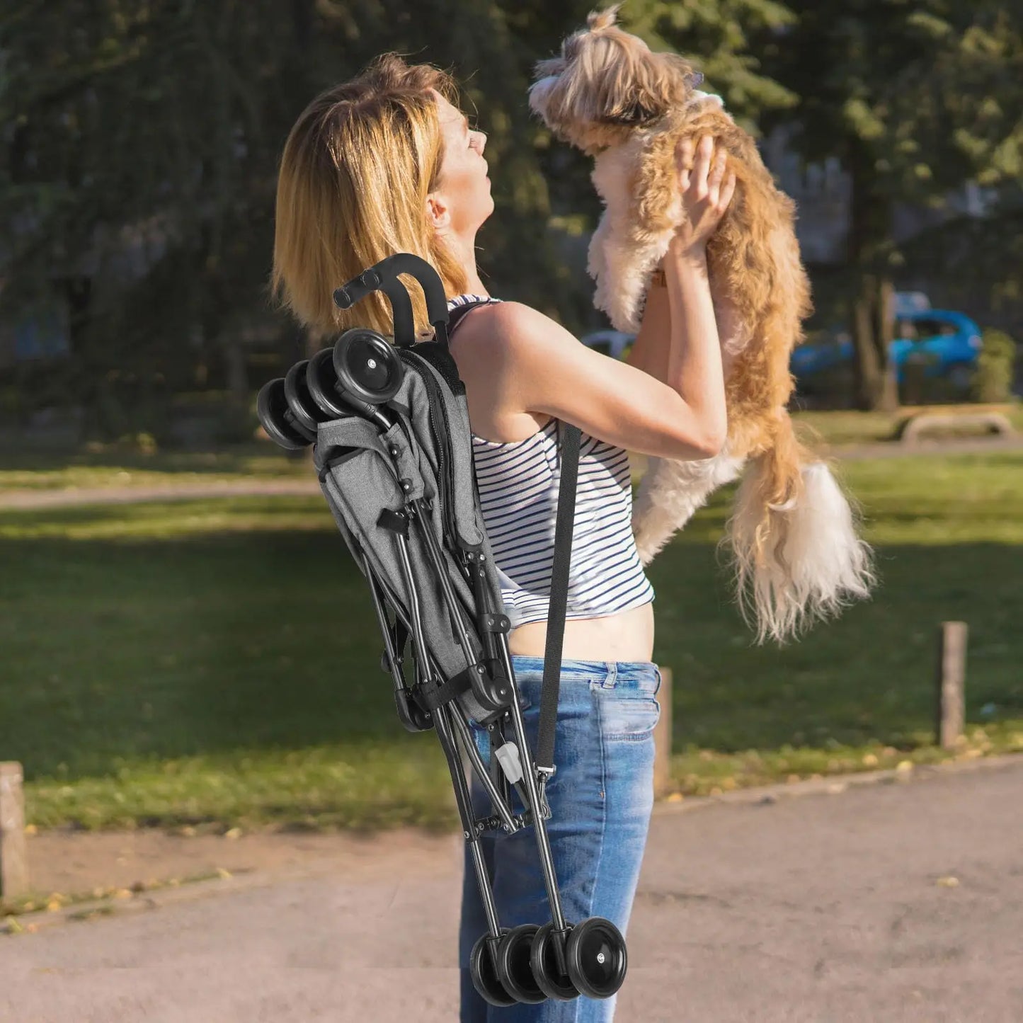 Travel Portable Dog Stroller, Pet Stroller for Small Puppy Dogs & Cats, Up to 33 lbs, Dark Grey