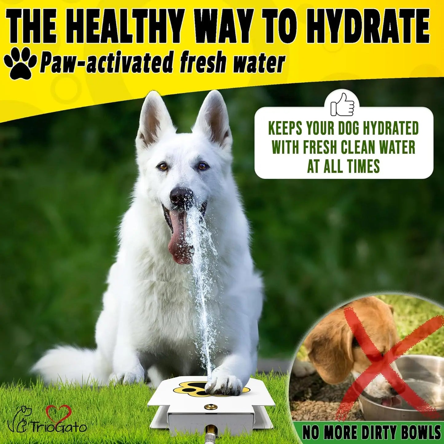 Paw-Activated Outdoor Dog Water Fountain With Garden Hose Connection