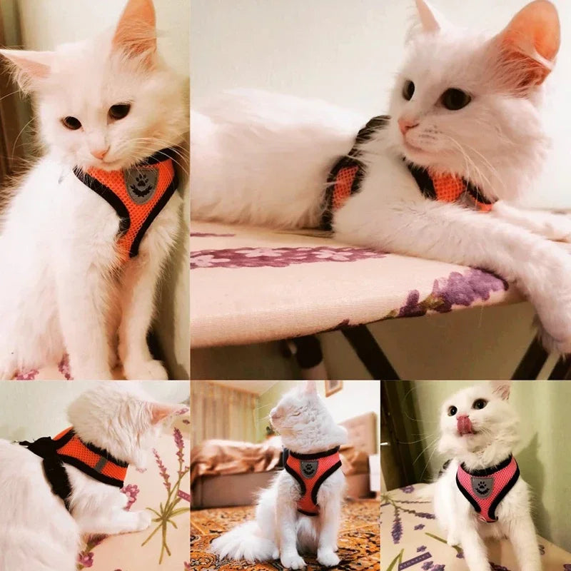 Cat Harness Vest With Leash Adjustable Polyester Mesh Harness For Pets