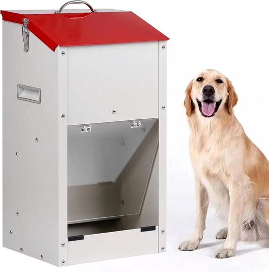 Automatic Dog Feeder for Large Breeds with Galvanized Steel Dispenser