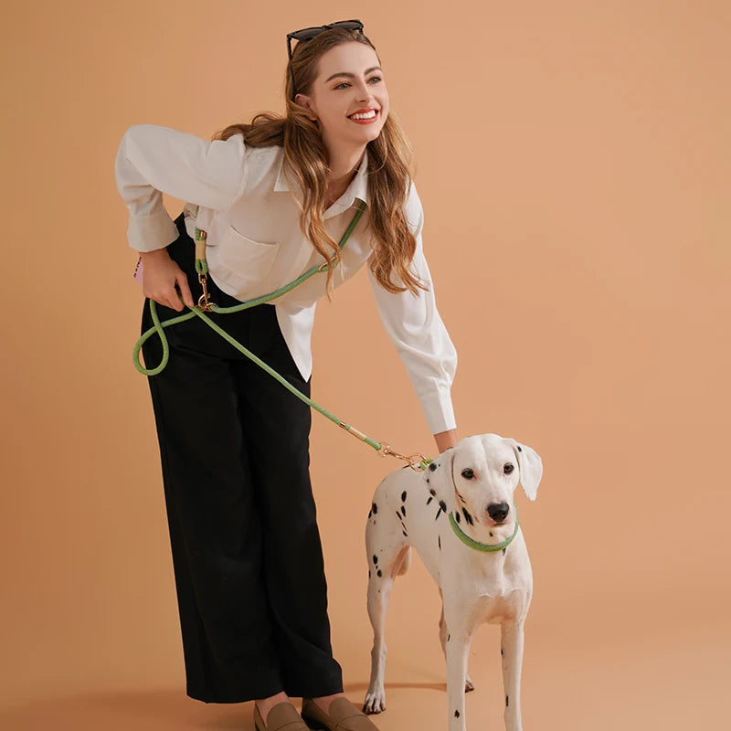 WAOPETCN Hands-Free Dogs Lead Rope 10-In-1