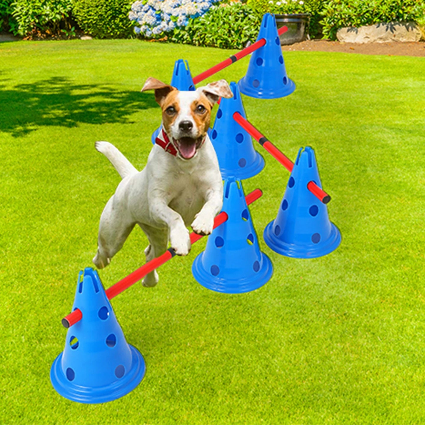 HiMISS Dog Agility Hurdle Cone Set With 12 Cones Rods