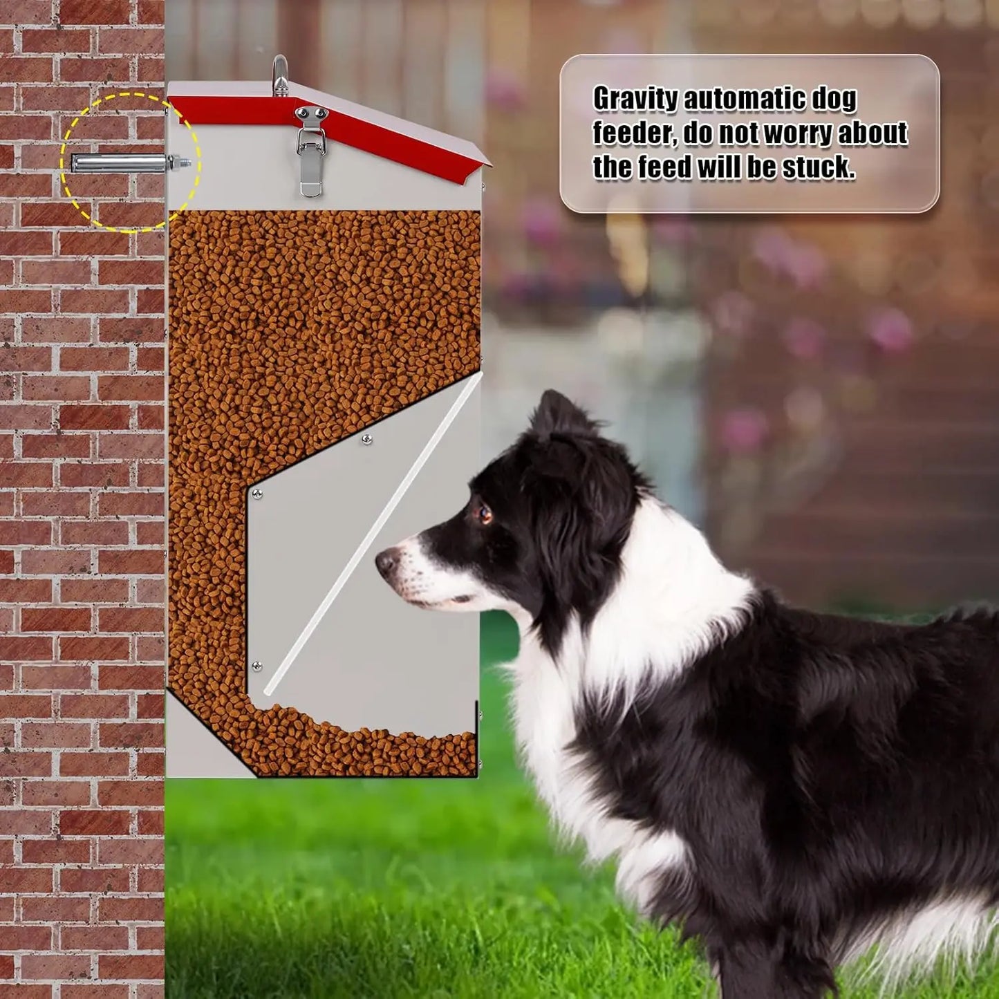 Automatic Dog Feeder for Large Breeds with Galvanized Steel Dispenser