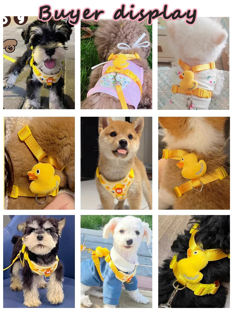 No Pull Cat Harness And Leash Set Escape Proof Mesh