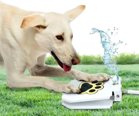 Paw-Activated Outdoor Dog Water Fountain With Garden Hose Connection