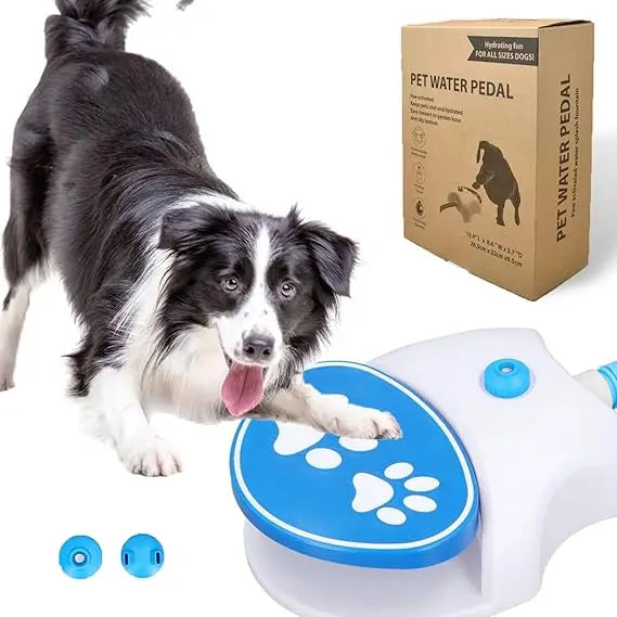 Automatic Foot Activated Outdoor Dog Water Fountain Dispenser
