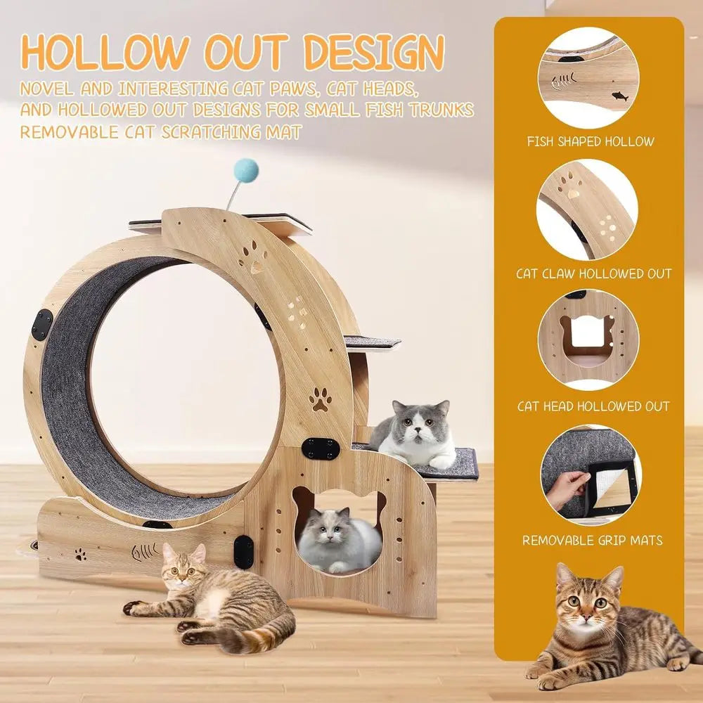 6-in-1 Indoor Cat Wheel For Exercise Scratch Climb Play Rest
