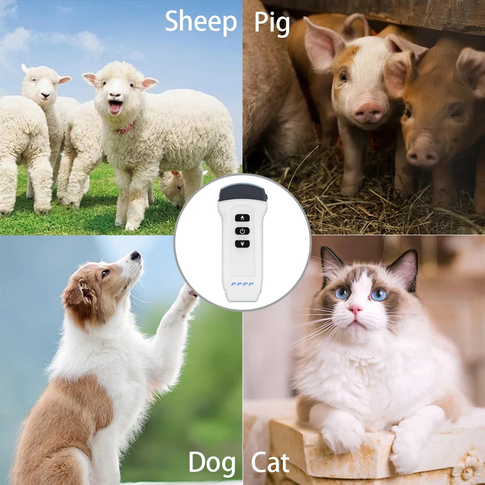 DAWEI Wireless Color Doppler Veterinary Ultrasound Scanner 2in1