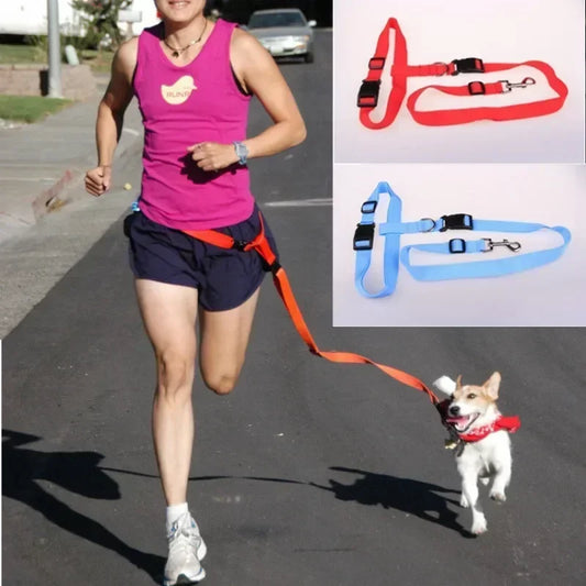 Adjustable Nylon Pet Leash for Cats and Small Dogs