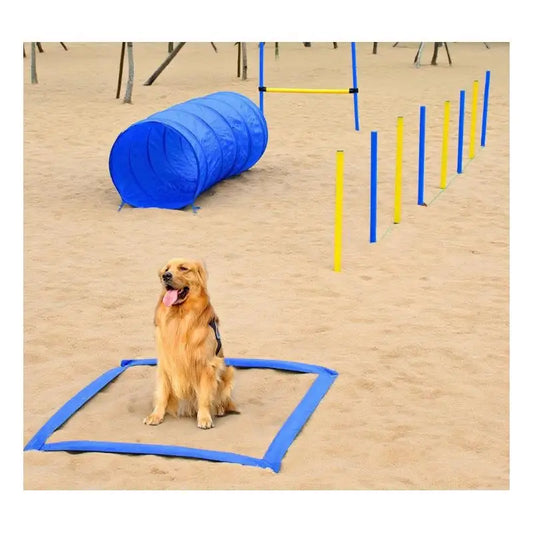 NONECN Backyard Dog Agility Training Kit For Competitive Obstacle Course
