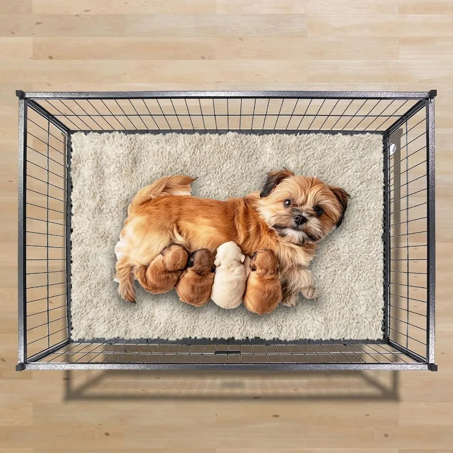 Heavy Duty Metal Whelping Box For Large Breed Dogs