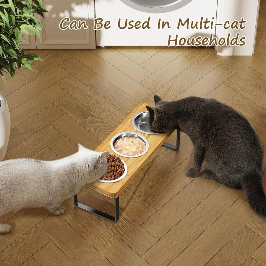 Elevated Tilted Cat Bowl Set With 3 Stainless Steel Bowls